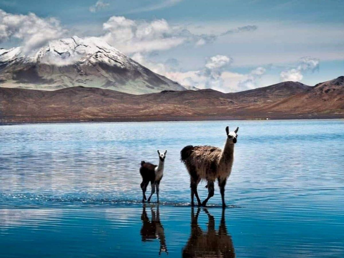 Salinas y Aguada Blanca + Connection to Chivay - 3